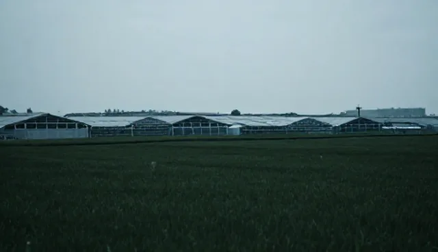 传统开发：软件研发方案设计关注点分析